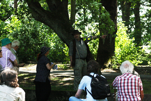 Wachstumsver&auml;nderungen an B&auml;umen durch Erdstrahlen vorgestellt von Joseph Vitzthum